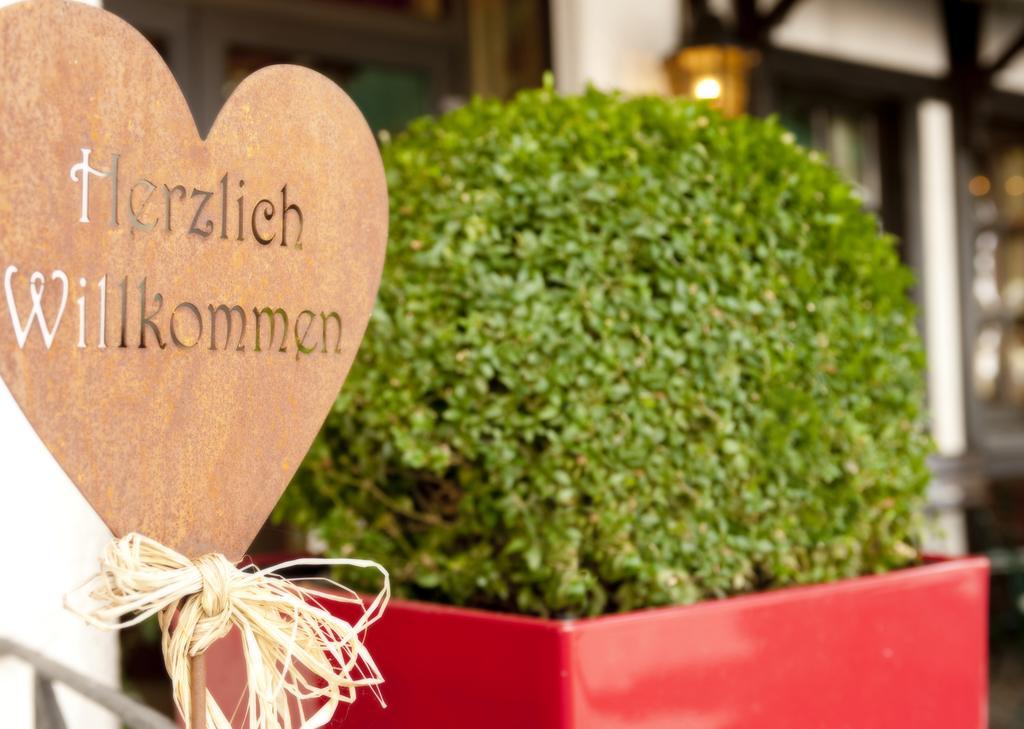Ringhotel Boemers Mosel Landhotel Alf Ngoại thất bức ảnh